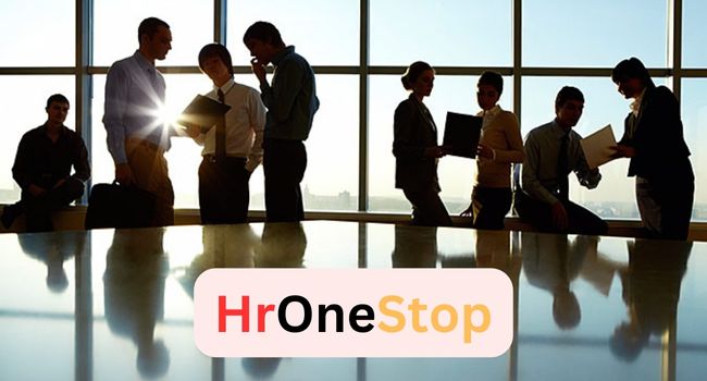 What is HR access and how to login in to hronestop?